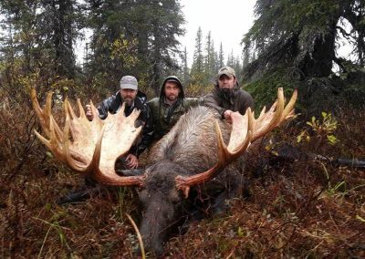 Airventures Moose Hunting Photos