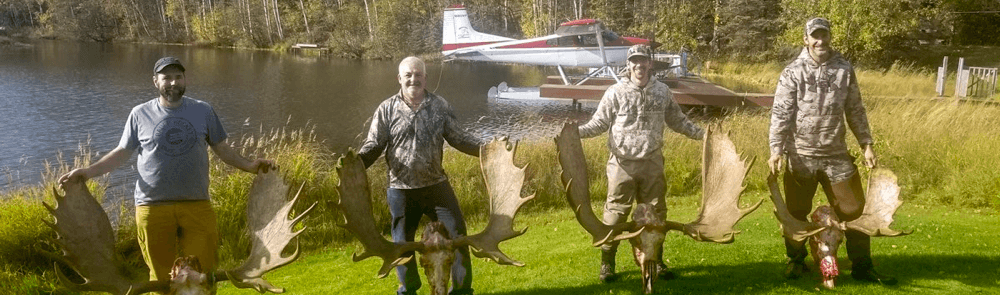 Moose FAQ Header - Airventures Moose Hunting Photos